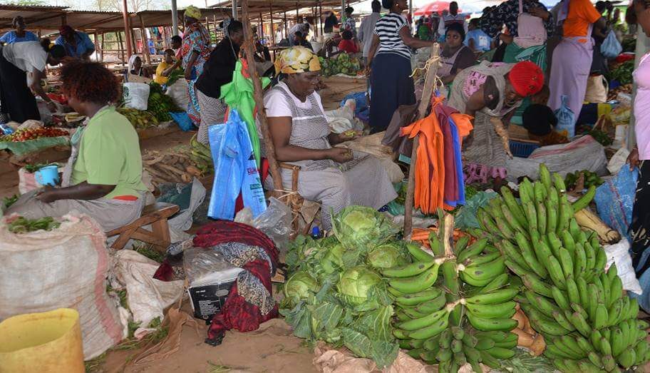 Wafanyibiashara wa kuuza matunda kaunti ya Kilifi wanalalamikia kudorora kwa biashara